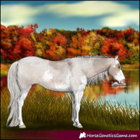 Horse Color:Silver Brown Roan Dun Sabino 