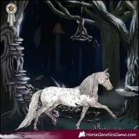 Horse Color:Silver Grullo Appaloosa 