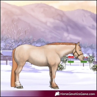 Horse Color:Gold Champagne Pearl Rabicano  and Amber Champagne Pearl Rabicano 