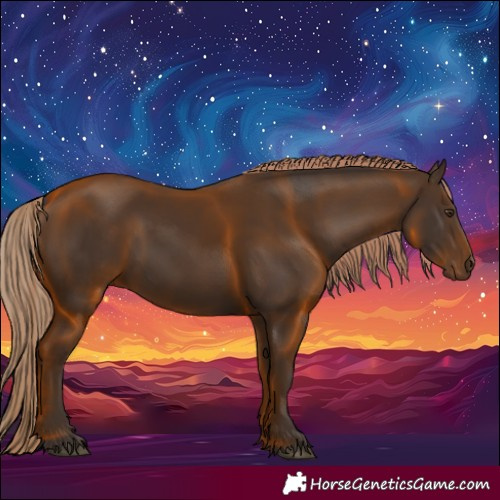 Horse Color:Liver Chestnut Rabicano 
