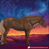 Horse Color:Liver Chestnut Rabicano 
