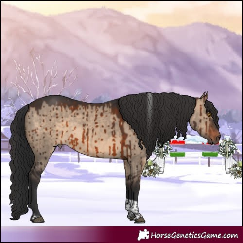 Horse Color:Brown Dun Tobiano Brindle 