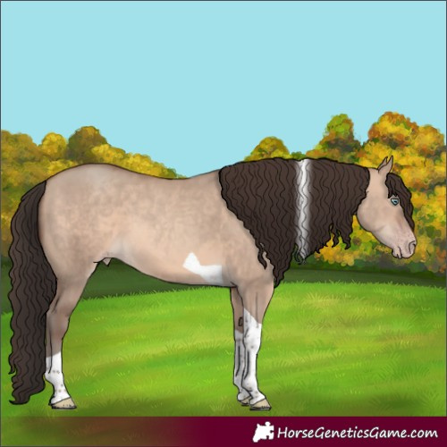 Horse Color:Sable Champagne Dun Tobiano 