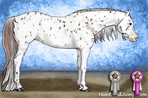 Horse Color:Buckskin Near Leopard  and Amber Champagne Near Leopard 