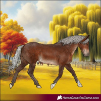 Horse Color:Silver Bay 