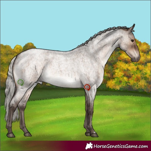 Horse Color:Silver Brown Roan Dun 