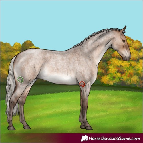 Horse Color:Silver Brown Roan Dun Brindle 