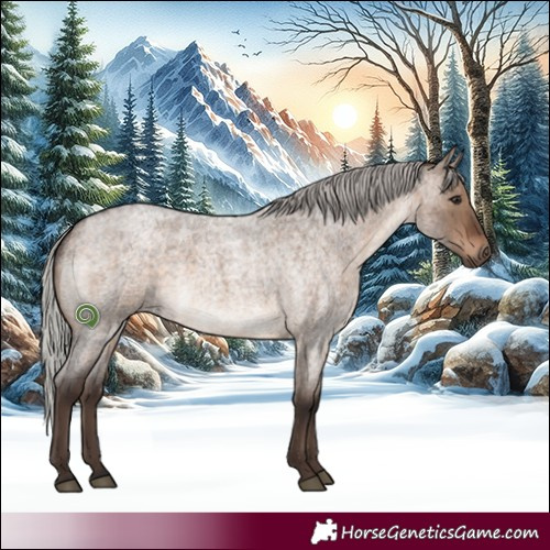 Horse Color:Silver Brown Roan Dun Brindle 
