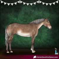 Horse Color:Silver Brown Dun Brindle 