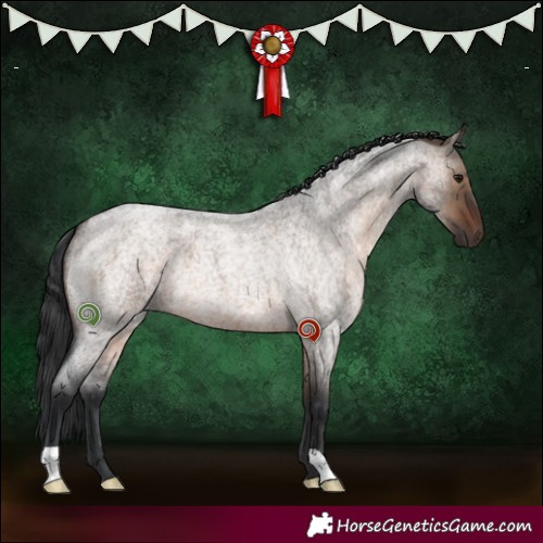 Horse Color:Brown Roan Dun 