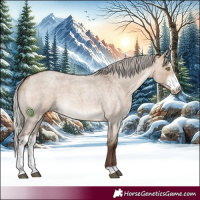 Horse Color:Silver Bay Roan Dun Sabino