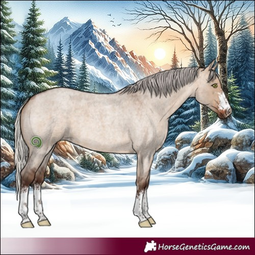 Horse Color:Silver Brown Roan Dun Sabino 