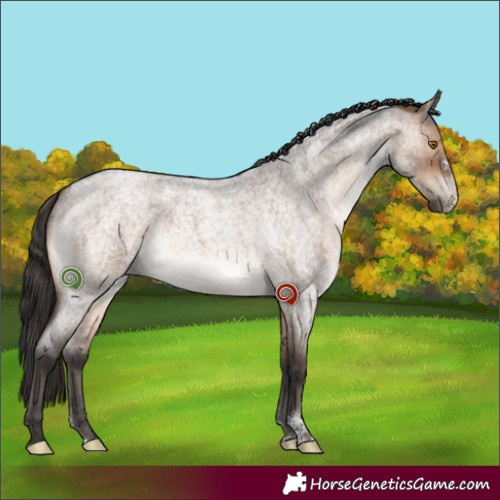 Horse Color:Brown Roan Dun Sabino 