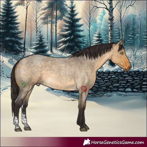 Horse Color:Buckskin Roan Dun Sabino 