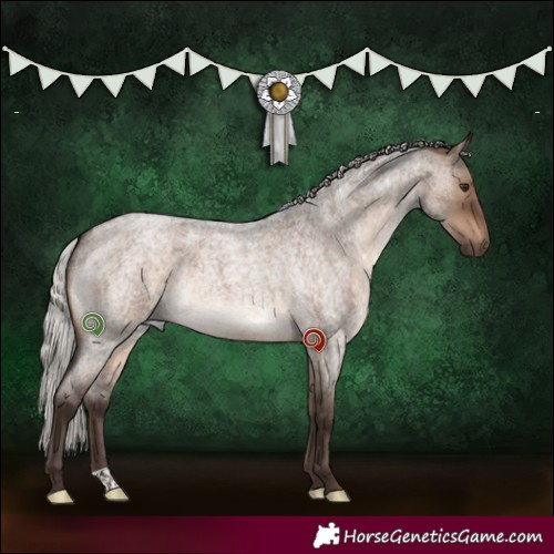 Horse Color:Silver Brown Roan Dun 