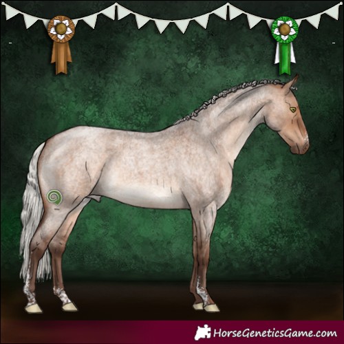 Horse Color:Silver Brown Roan Dun Sabino 