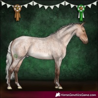 Horse Color:Silver Brown Roan Dun Sabino