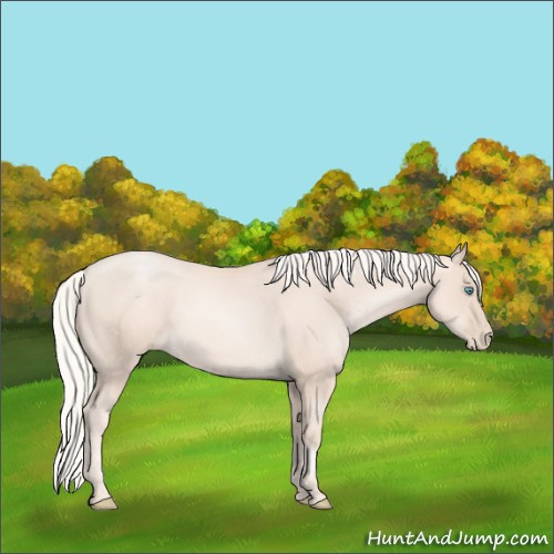 Horse Color:Gold Cream Champagne Pearl 