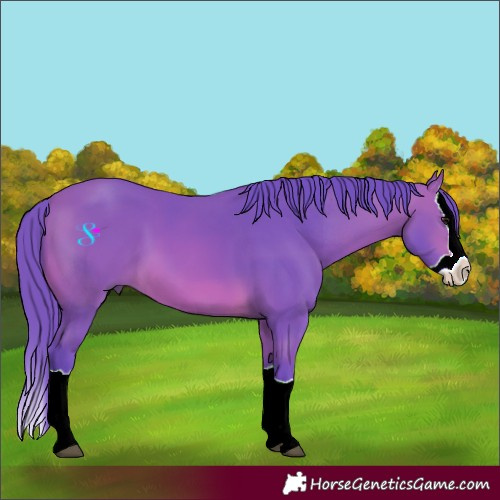Horse Color:Watercolor Bay Splash