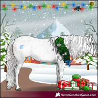 Horse Color:Silver Bay Dun Appaloosa 