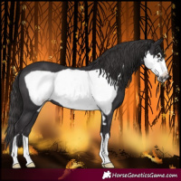 Horse Color:Smoky Black Frame 