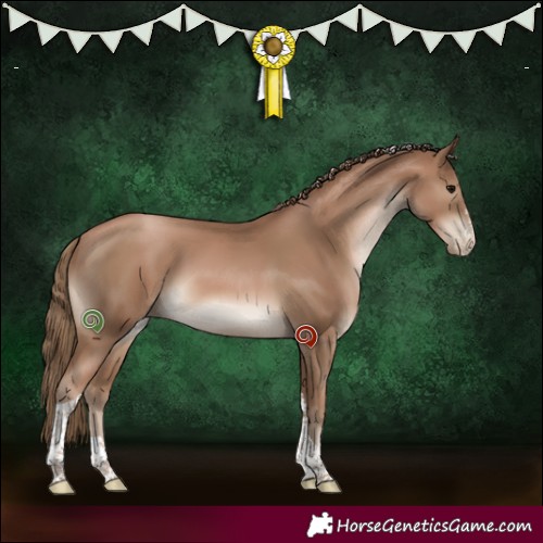 Horse Color:Black Pearl Sabino Tobiano 