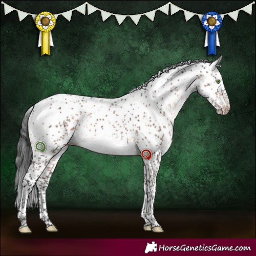 Horse Color:Brown Dun Sabino Brindle 