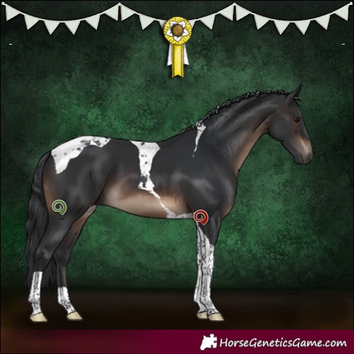 Horse Color:Brown Tobiano 