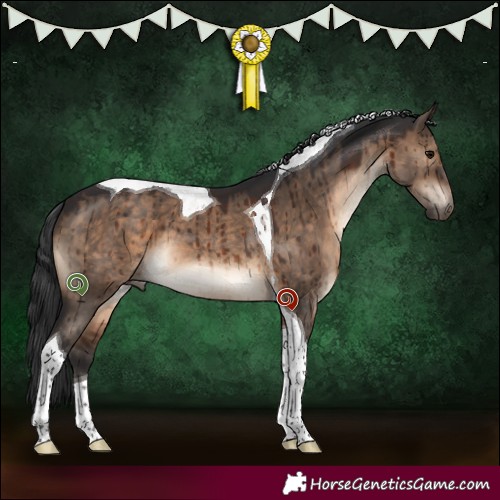 Horse Color:Brown Dun Tobiano Brindle 