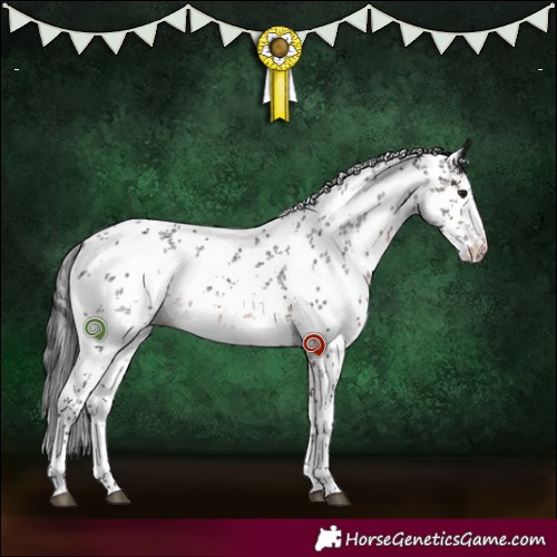 Horse Color:White Spotted Brown Sabino 