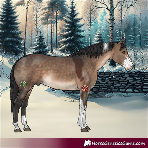 Horse Color:Brown Dun Sabino Tobiano 