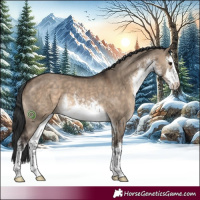 Horse Color:White Spotted Brown Dun