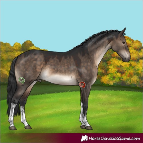 Horse Color:White Spotted Brown Dun Tobiano 