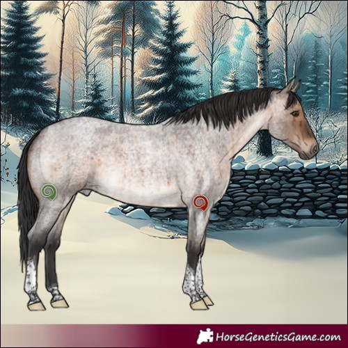 Horse Color:Brown Roan Dun Tobiano Brindle 