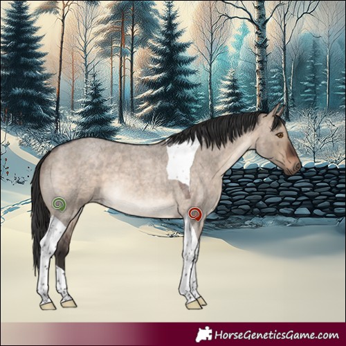Horse Color:Brown Roan Dun Tobiano Rabicano 