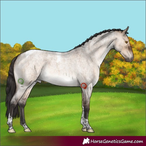 Horse Color:Brown Roan Dun Tobiano Brindle 