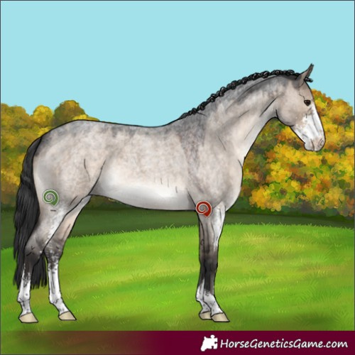 Horse Color:Brown Roan Dun Sabino 