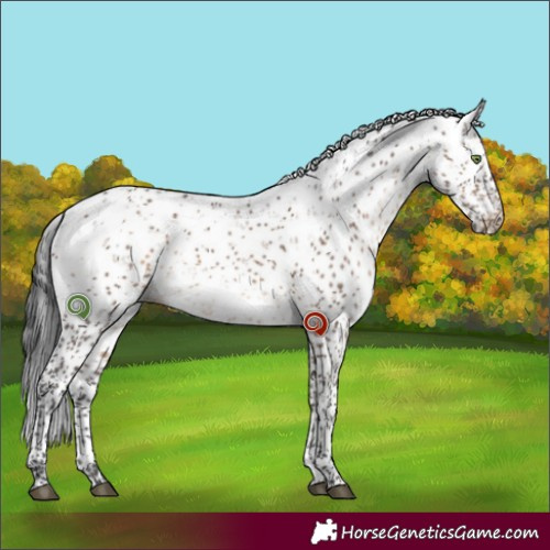 Horse Color:Brown Dun Sabino Brindle 