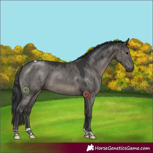 Horse Color:Grullo Tobiano Brindle 