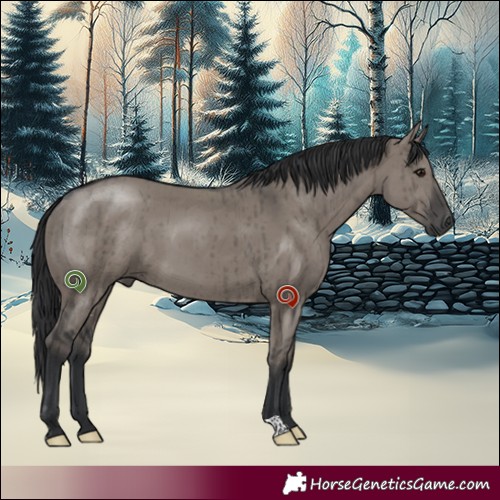 Horse Color:Grullo Mushroom Brindle 
