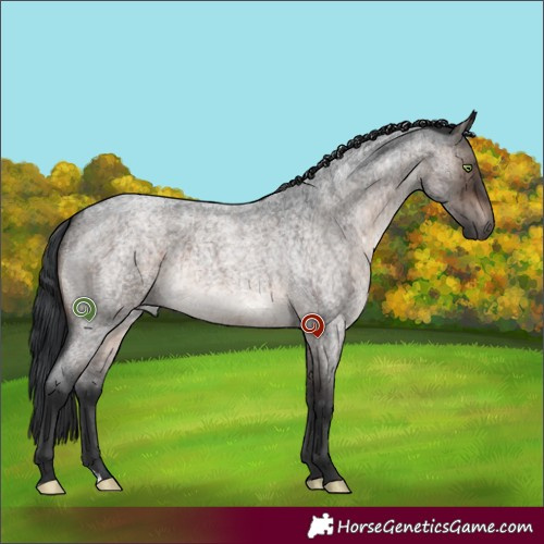 Horse Color:Brown Roan Dun Mushroom Brindle 