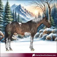 Horse Color:Brown Dun Tobiano Brindle 