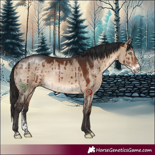 Horse Color:Brown Dun Sabino Brindle 