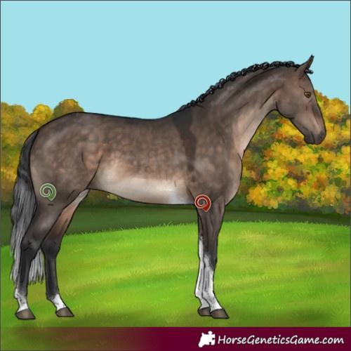 Horse Color:White Spotted Brown Dun Tobiano 