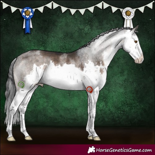 Horse Color:Brown Dun Sabino 