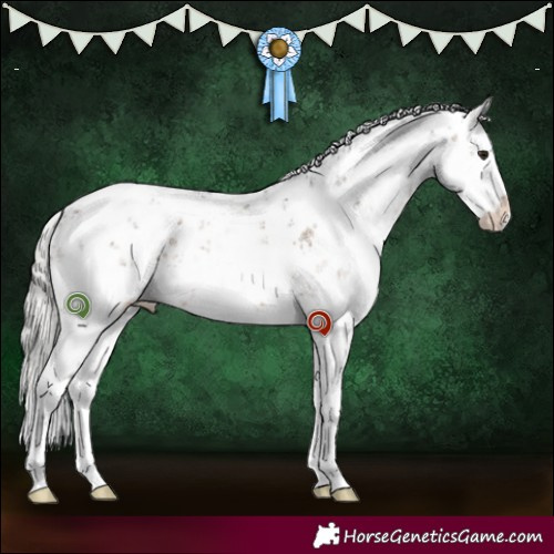 Horse Color:White Spotted Silver Brown Dun Sabino 