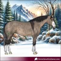 Horse Color:White Spotted Brown Dun 