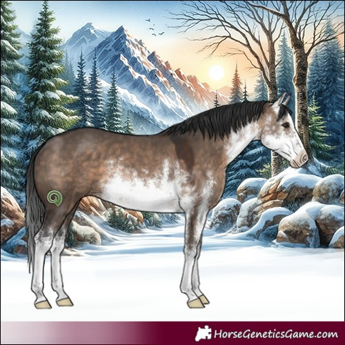 Horse Color:White Spotted Brown Dun 