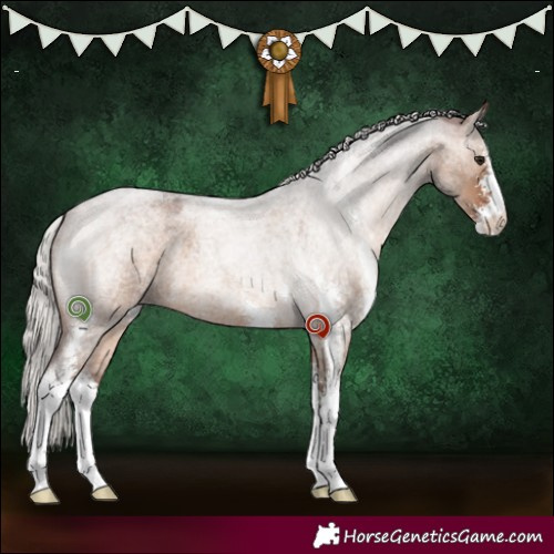 Horse Color:Silver Brown Roan Dun Sabino 