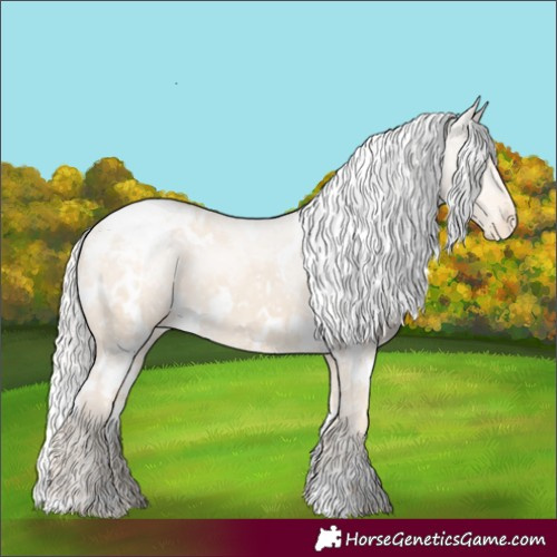 Horse Color:White Spotted Silver Smoky Creme Appaloosa